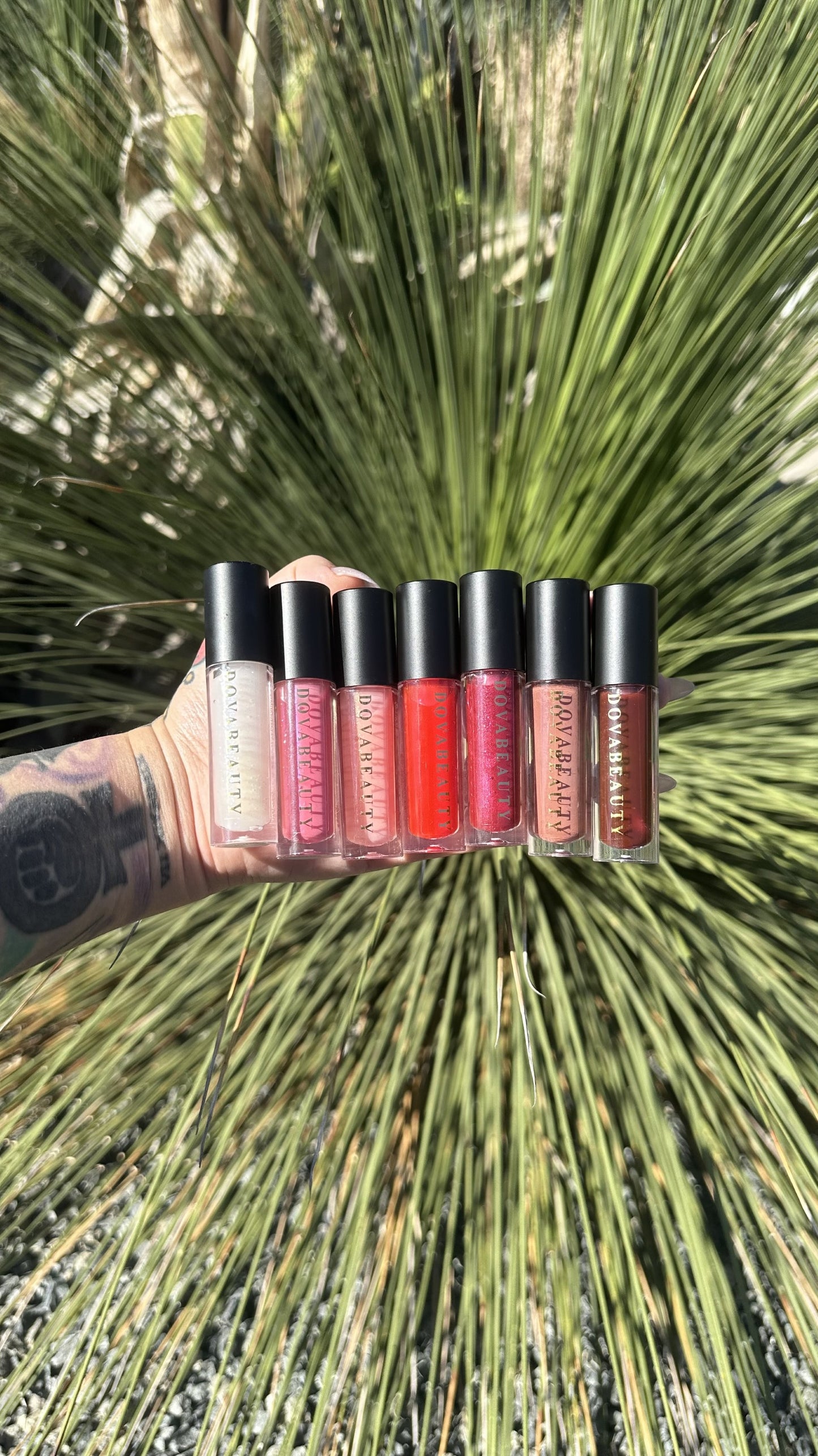 Lip Gloss Collection